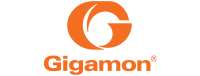 Gigamon 1